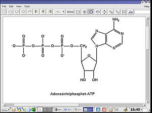 ScreenShot2