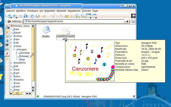 Schermata della funzione di anteprima